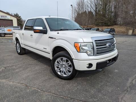 2012 Ford F-150 for sale at Affordable Auto Service & Sales in Shelby MI