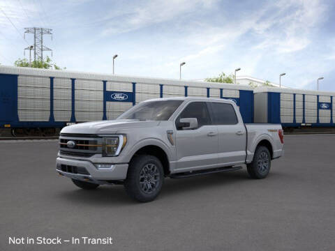 2023 Ford F-150 for sale at Herman Motors in Luverne MN