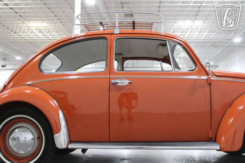 1965 Volkswagen Beetle