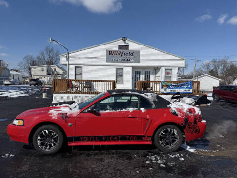 2004 Ford Mustang for sale at Wildfield Automotive Inc in Blanchester OH