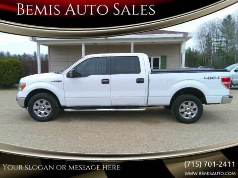 2010 Ford F-150 for sale at Bemis Auto Sales in Crivitz WI
