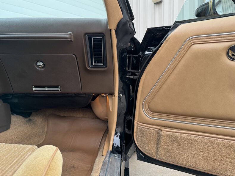 1981 Pontiac Firebird Trans Am