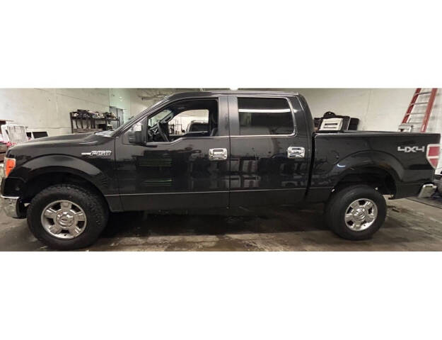 2014 Ford F-150 for sale at Paley Auto Group in Columbus, OH