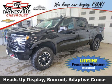 2023 Chevrolet Silverado 1500 for sale at Paynesville Chevrolet in Paynesville MN