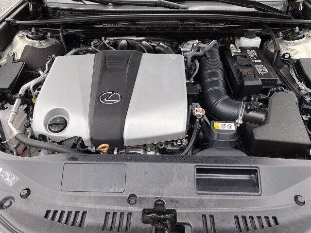 2019 Lexus ES 350 Luxury