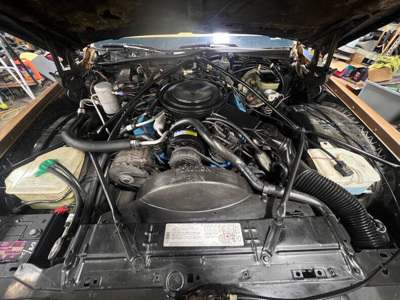 1981 Cadillac DeVille