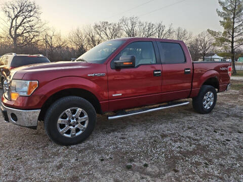 2013 Ford F-150 for sale at Moulder's Auto Sales in Macks Creek MO