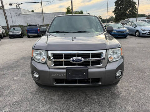 2010 Ford Escape XLT