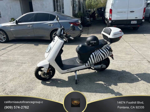 2020 Zebra E-bike