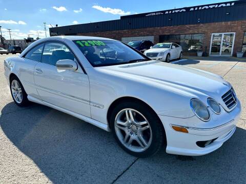 2002 Mercedes-Benz CL-Class for sale at Motor City Auto Auction in Fraser MI