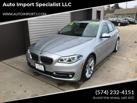 2014 BMW 5 Series for sale at Auto Import Specialist LLC in South Bend IN