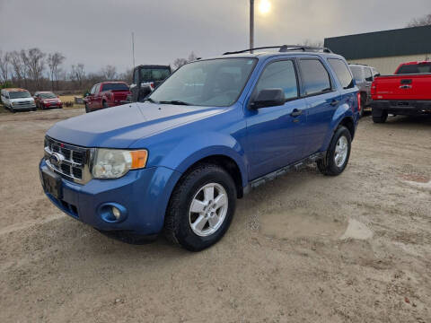 2010 Ford Escape XLT