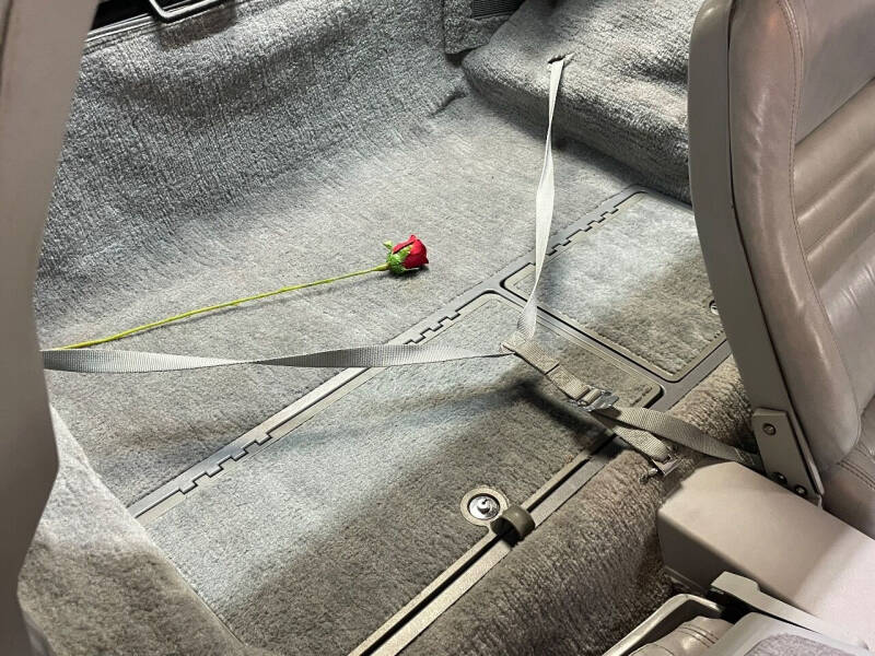 1981 Chevrolet Corvette