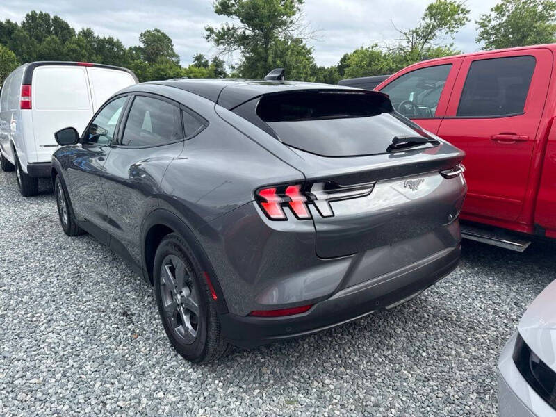 Click to enlarge