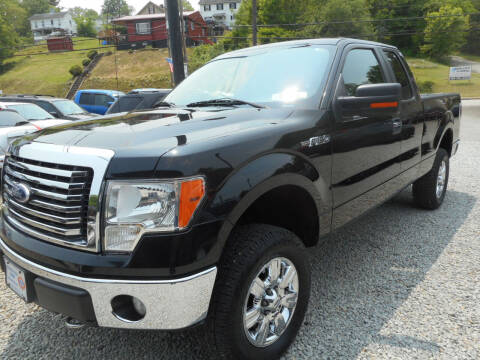 2010 Ford F-150 for sale at Sleepy Hollow Motors in New Eagle PA