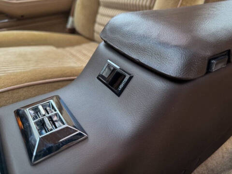 1981 Pontiac Firebird Trans Am