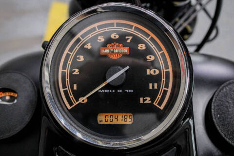 2010 Harley-Davidson Softail