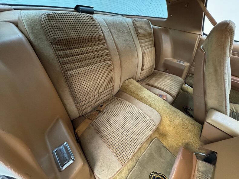 1980 Pontiac Firebird