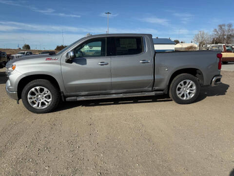 2024 Chevrolet Silverado 1500 for sale at Tripe Motor Company in Alma NE