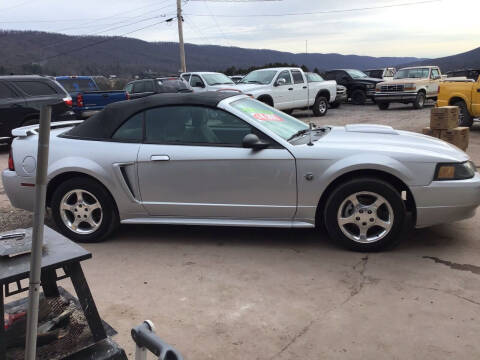 2004 Ford Mustang for sale at Troy's Auto Sales in Dornsife PA