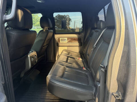 2013 Ford F-150 Platinum