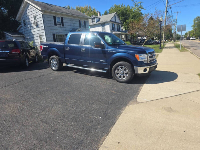 2014 Ford F-150 for sale at Maximum Auto Group II INC in Cortland OH