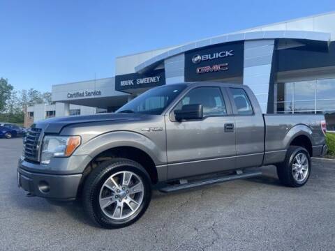 2014 Ford F-150 for sale at Mark Sweeney Buick GMC in Cincinnati OH