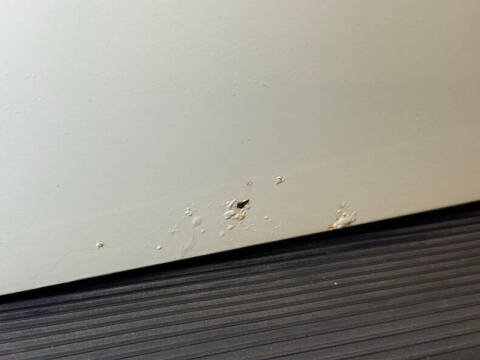 1977 Volkswagen Super Beetle