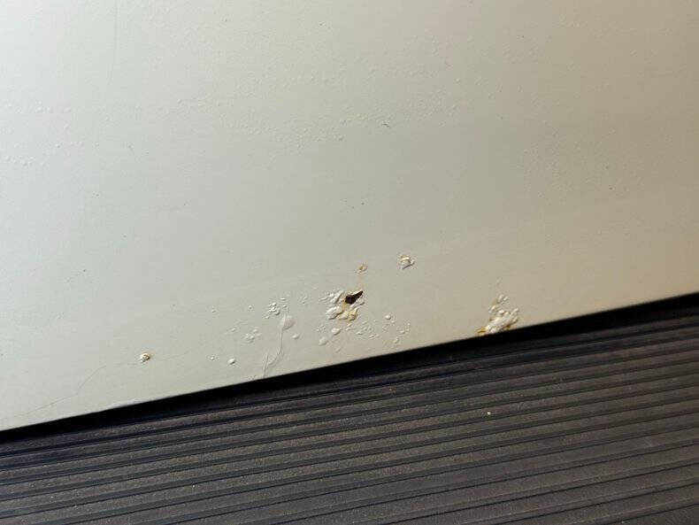 1977 Volkswagen Super Beetle