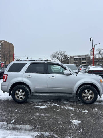 2011 Ford Escape Limited