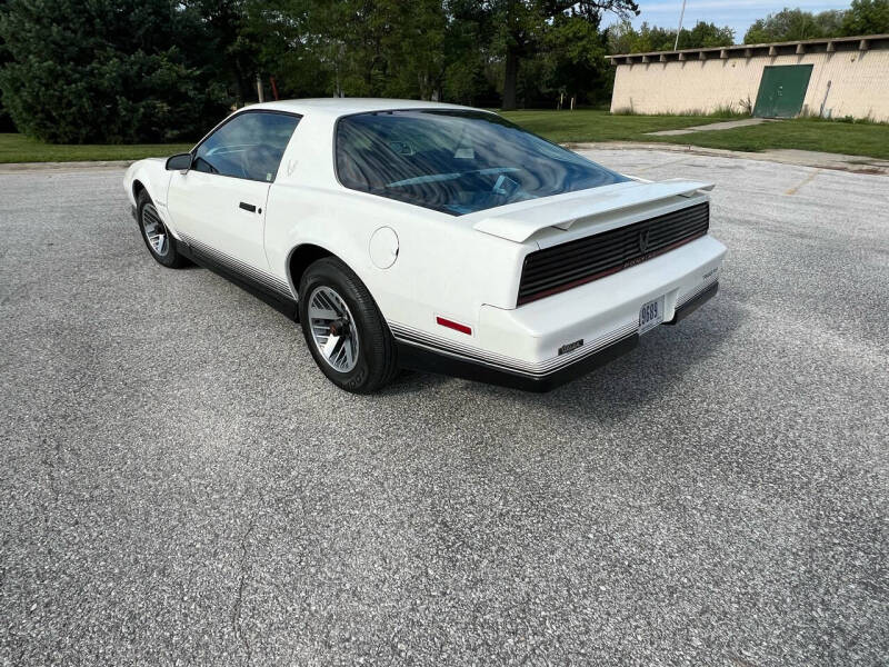 1984 Pontiac Firebird Trans Am