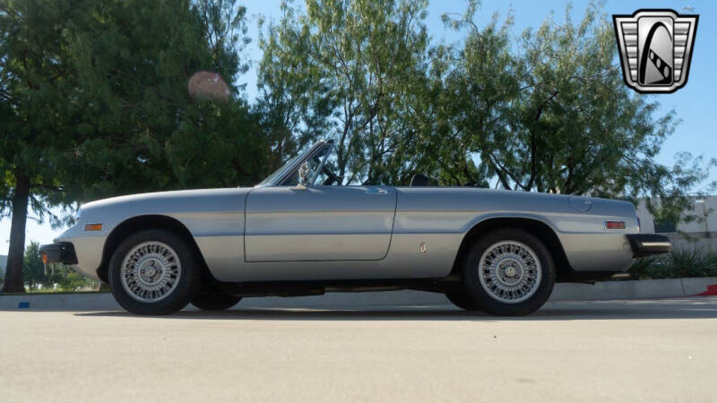 1976 Alfa Romeo Spider
