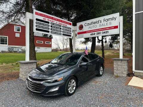 2019 Chevrolet Malibu for sale at Caulfields Family Auto Sales in Bath PA