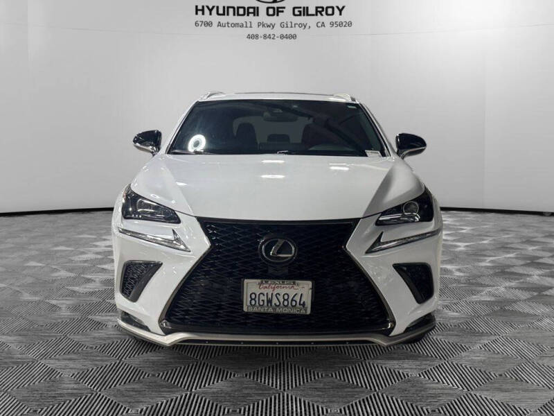 2019 Lexus NX 300 F SPORT
