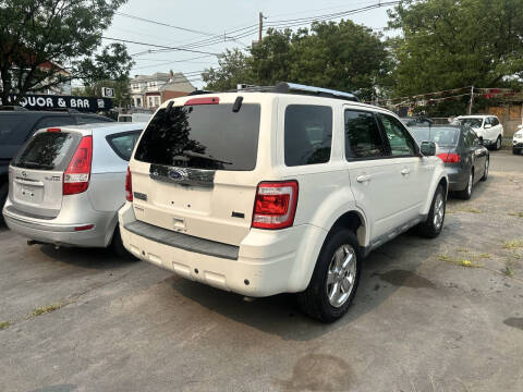 2010 Ford Escape Limited