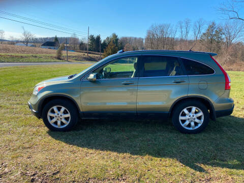 2008 Honda CR-V for sale at Deals On Wheels in Red Lion PA