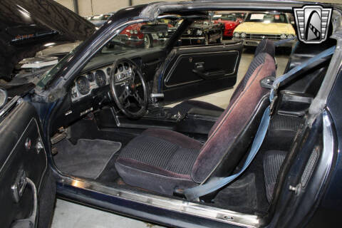 1981 Pontiac Firebird Trans Am