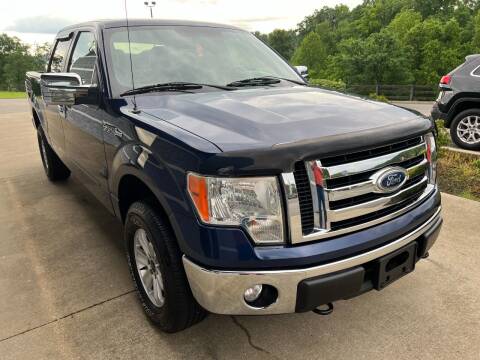 2011 Ford F-150 for sale at Car City Automotive in Louisa KY