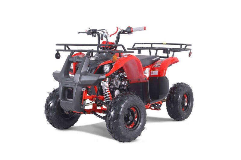 2023 TAO MOTORS D 125 ATV for sale at Advanti Powersports in Mesa, AZ