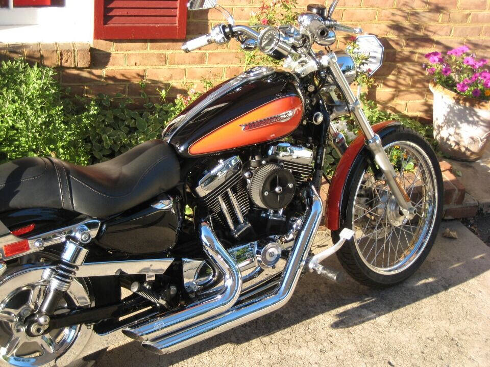 2009 Harley-Davidson Sportster 1200 Custom for sale at Auto Link Inc in Hamilton, VA