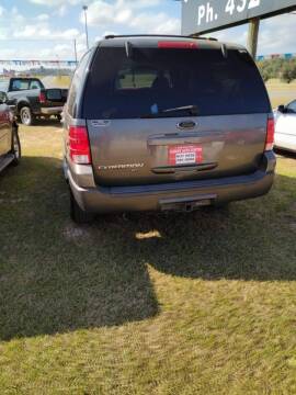 2004 Ford Expedition for sale at Albany Auto Center in Albany GA