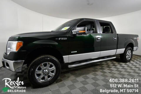 2013 Ford F-150 for sale at Danhof Motors in Manhattan MT