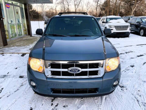 2011 Ford Escape XLT