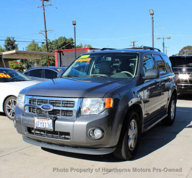 2009 Ford Escape XLT