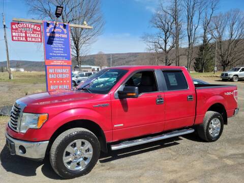 2011 Ford F-150 for sale at Wahl to Wahl Auto Parts in Cooperstown NY