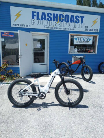 2022 SCOOTSTAR TRAILSTAR for sale at FlashCoast Powersports in Ruskin FL