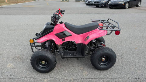 2024 TrailMaster Mini 110 Sport