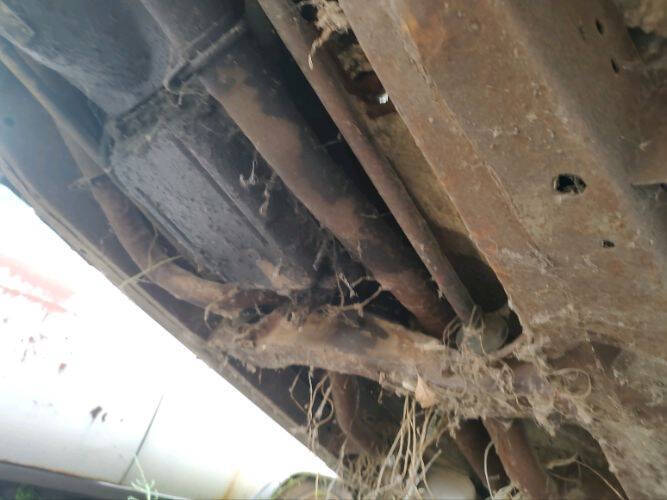 1959 Chrysler Windsor