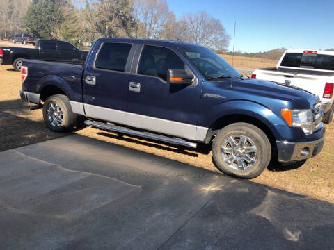 2013 Ford F-150 for sale at Galloway Automotive & Equipment llc in Westville FL