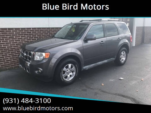 2010 Ford Escape for sale at Blue Bird Motors in Crossville TN